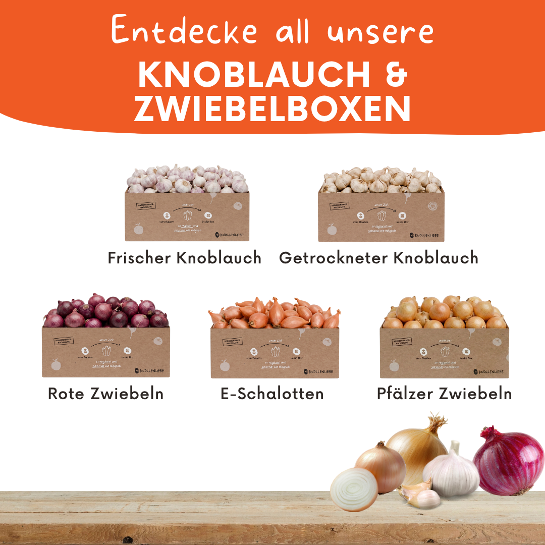 Rote Zwiebeln – aromatisch, vielseitig & ideal für den Vorrat