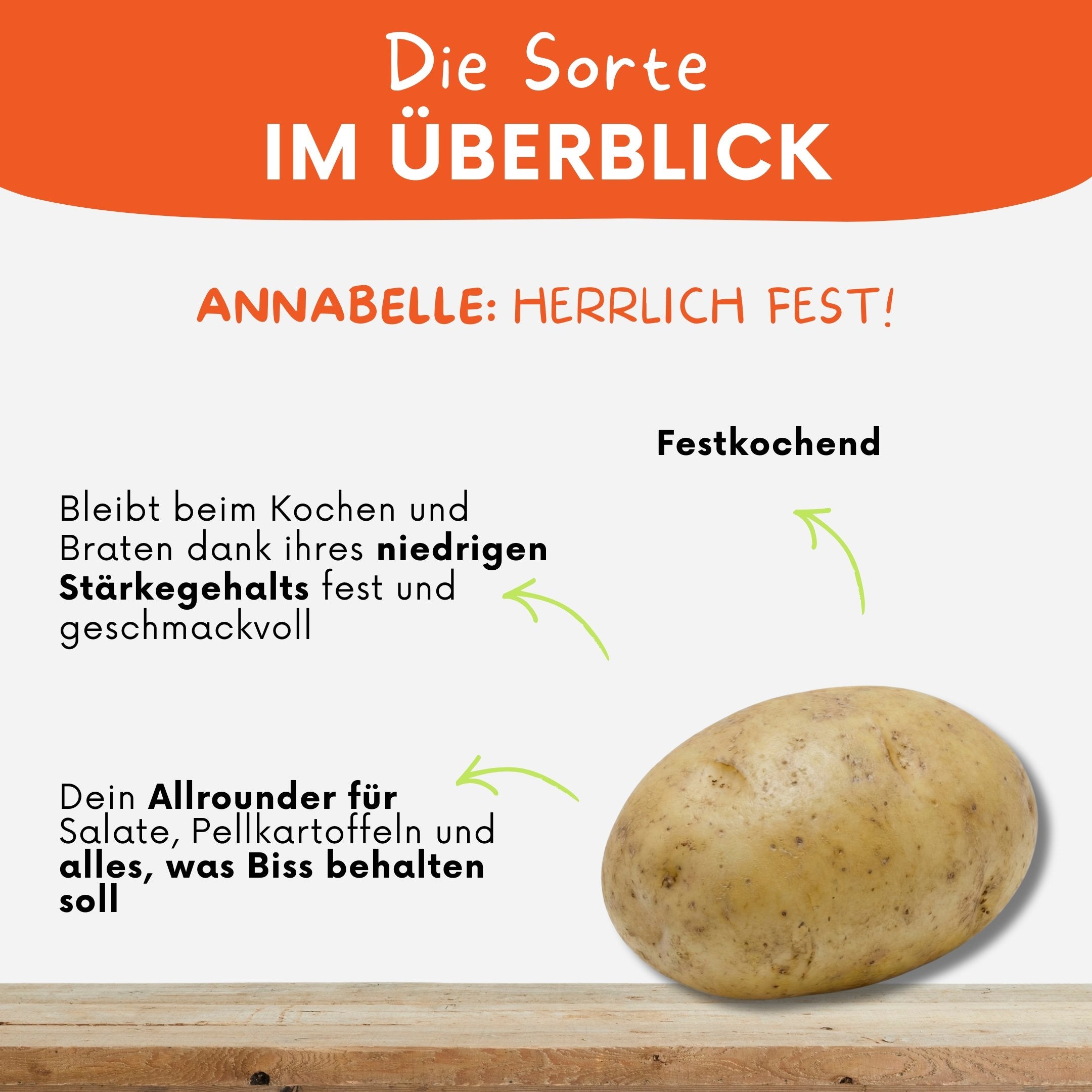 Nahaufnahme der glatten Schale der festkochenden Annabelle Kartoffel