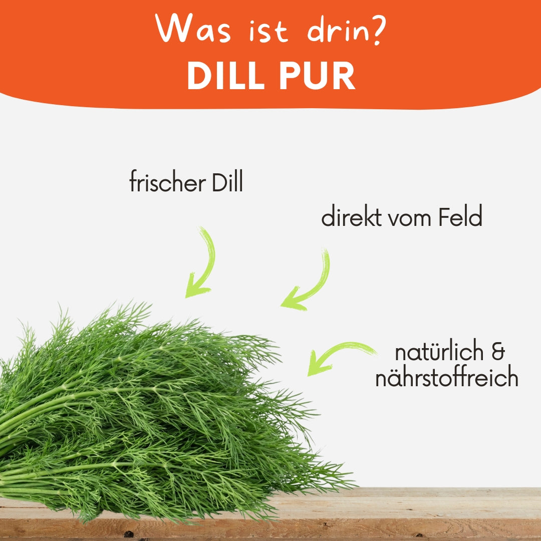 Frischer Dill für Kleintiere – aromatisches Kräuter-Frischfutter