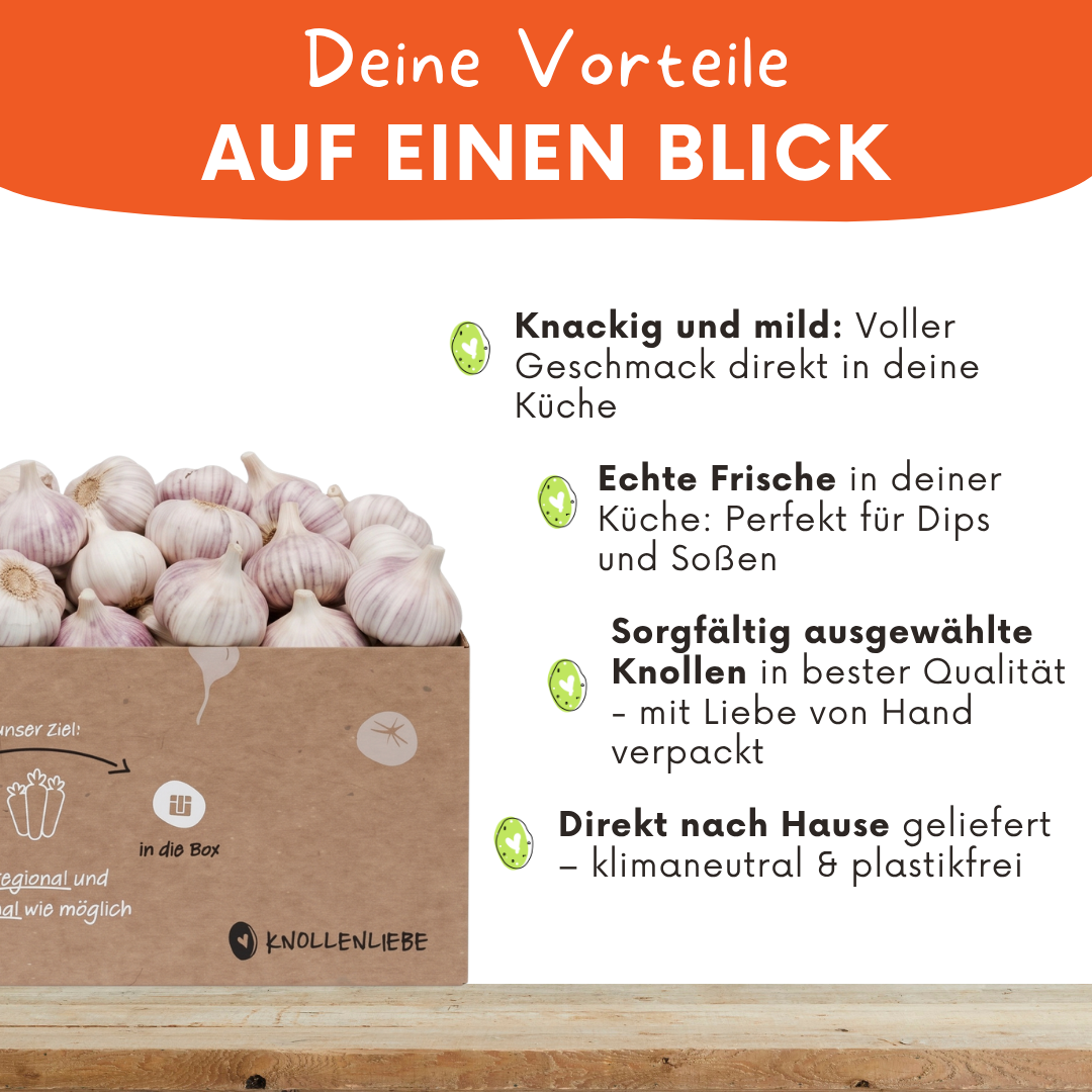 Frischer Knoblauch – saftig, aromatisch & vielseitig