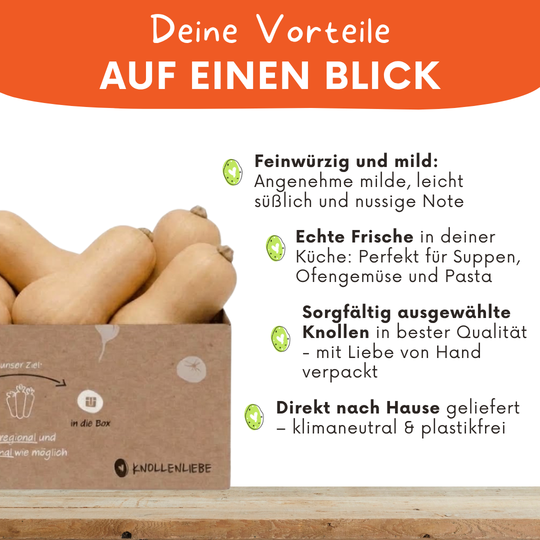 Hokkaido & Butternut Kürbis – frischen Kürbis online kaufen
