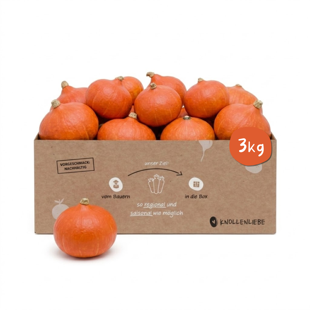 Hokkaido & Butternut Kürbis – frischen Kürbis online kaufen