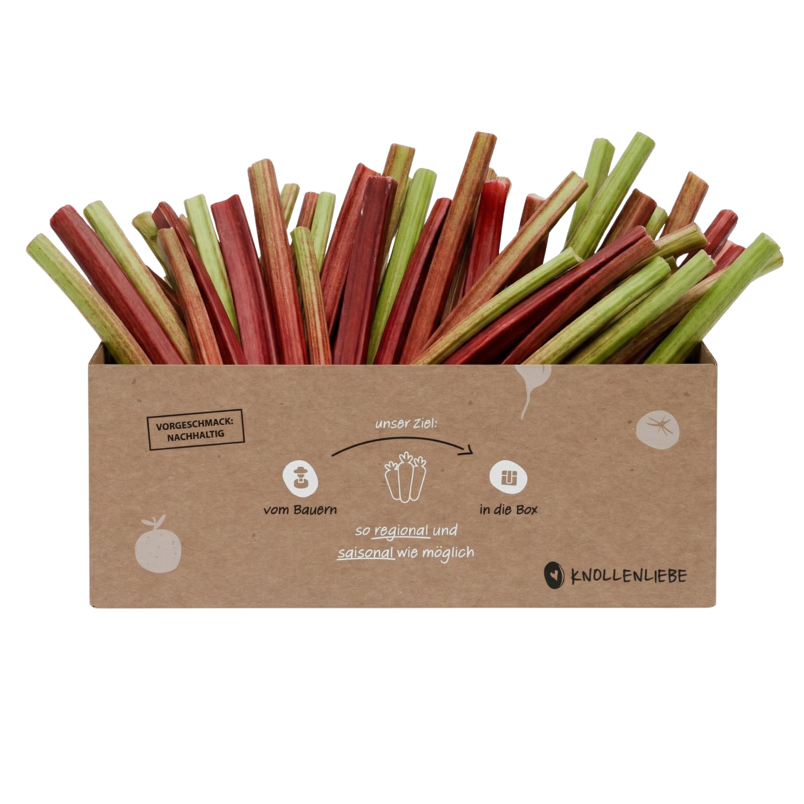 Rhabarber-Box – Frischer Pfälzer Rhabarber
