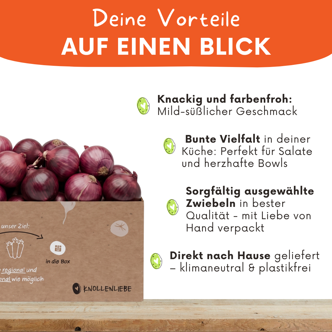 Rote Zwiebeln – aromatisch, vielseitig & ideal für den Vorrat