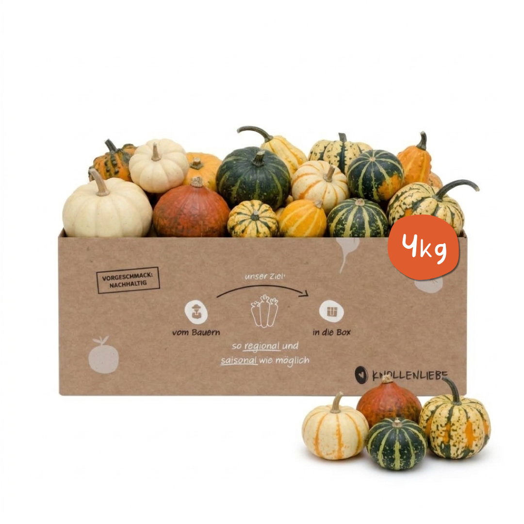 Zierkürbis-Box – Bunter Herbstzauber & Dekoration für dein Zuhause!