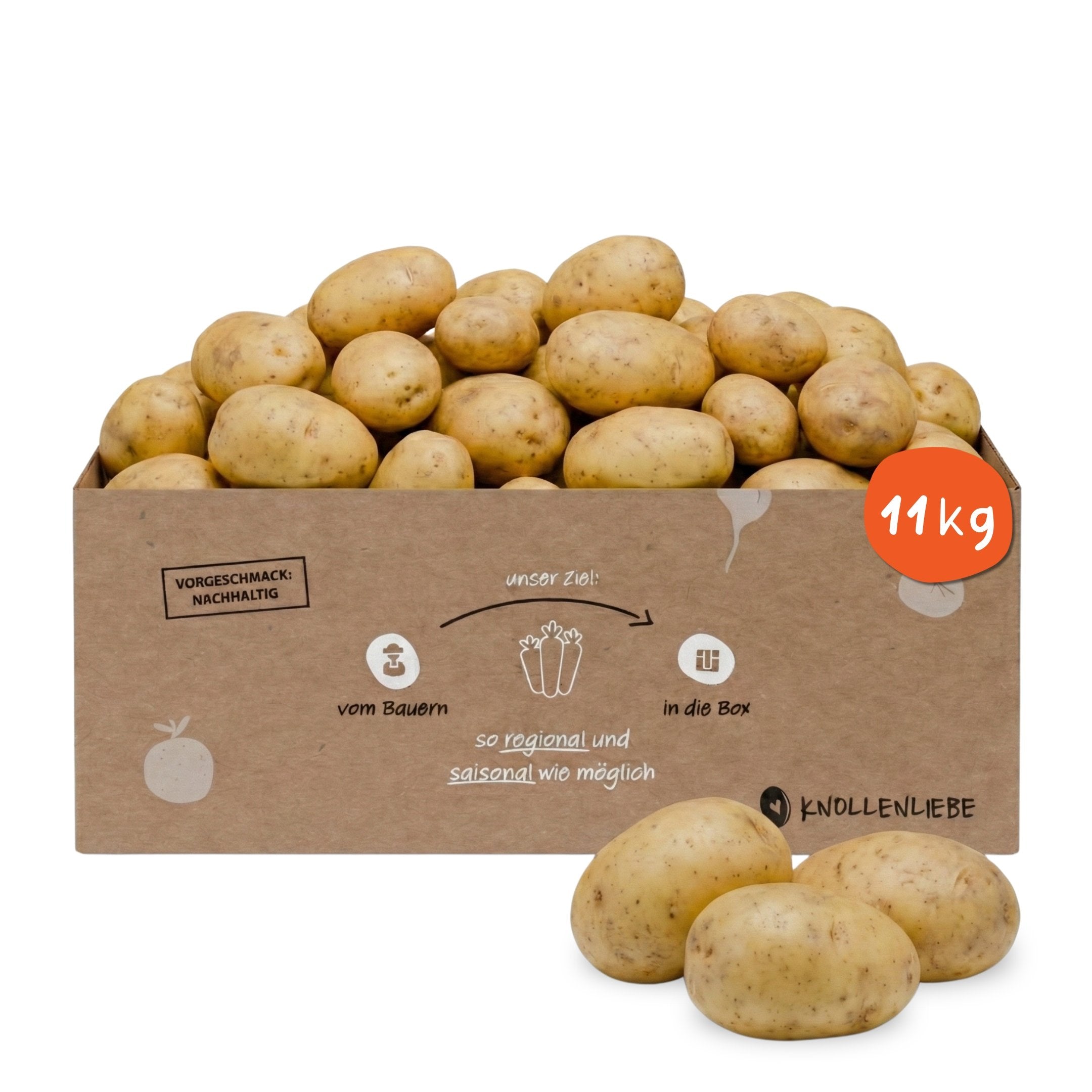 Annabelle Kartoffeln online bestellen – Frisch verpackt im Karton