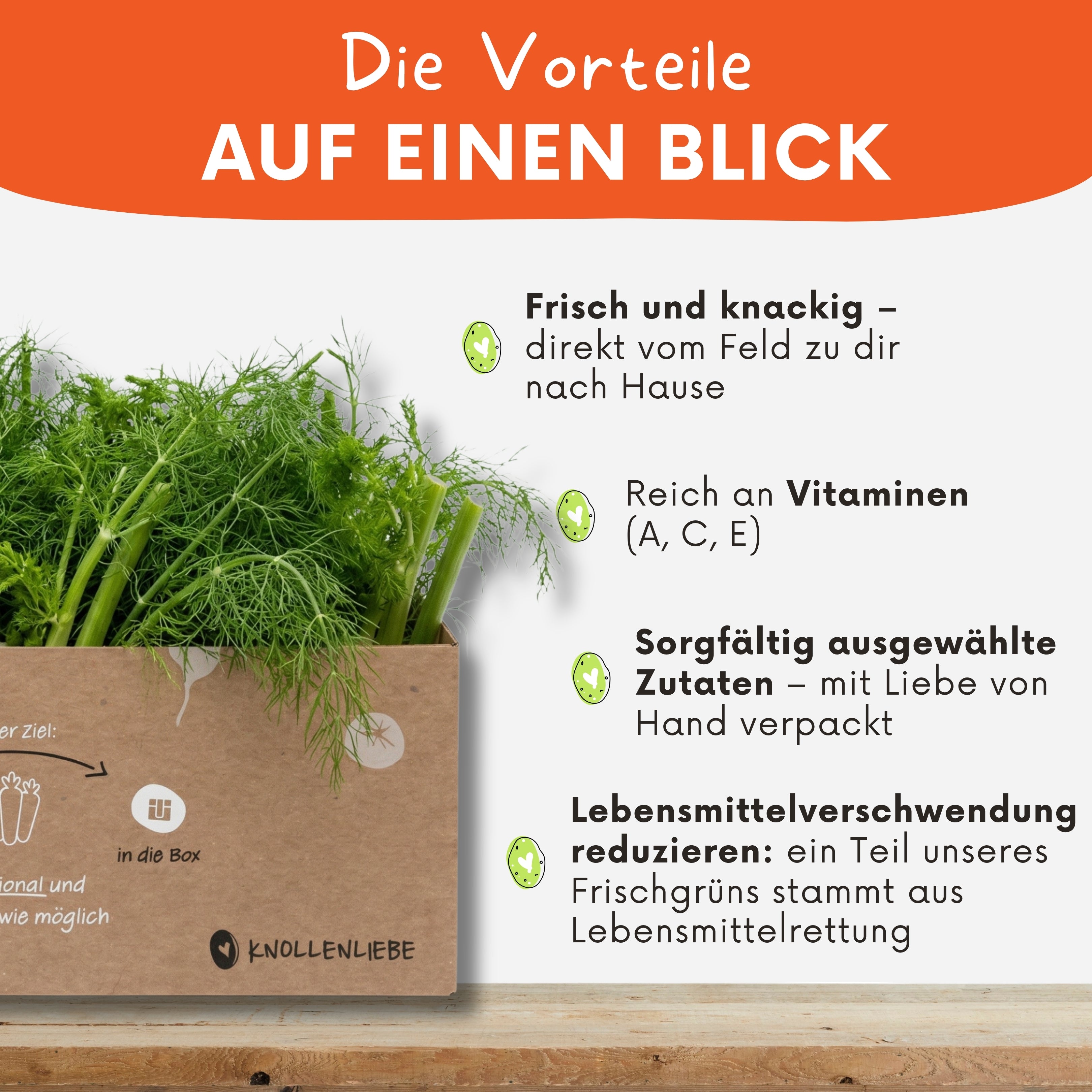 Vorteile von Fenchelgrün aus einer Kleintierbox von Knollenliebe auf einen Blick