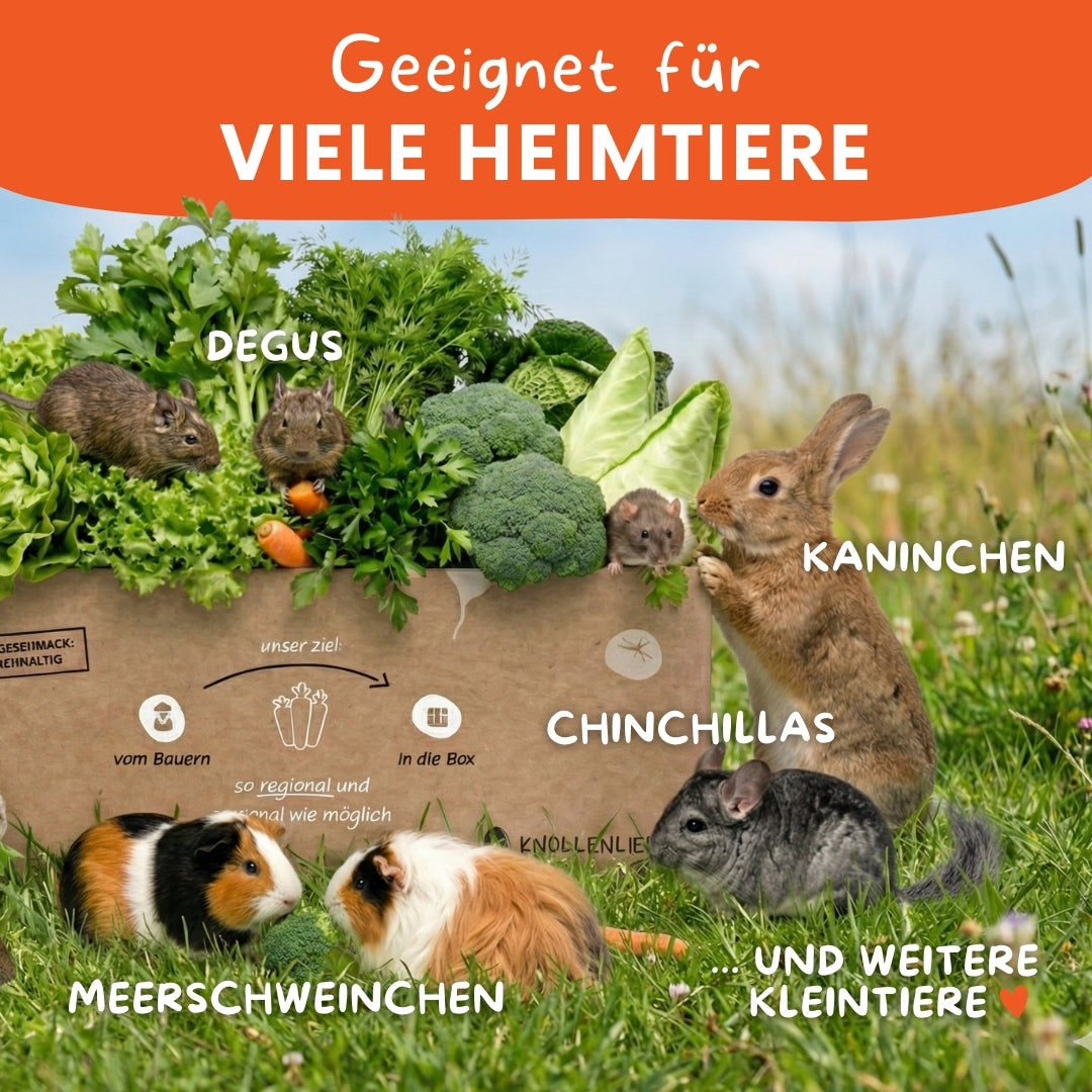 Grafische Darstellung für welche Heimtiere die Kleintierboxen von Knollenliebe geeignet sind