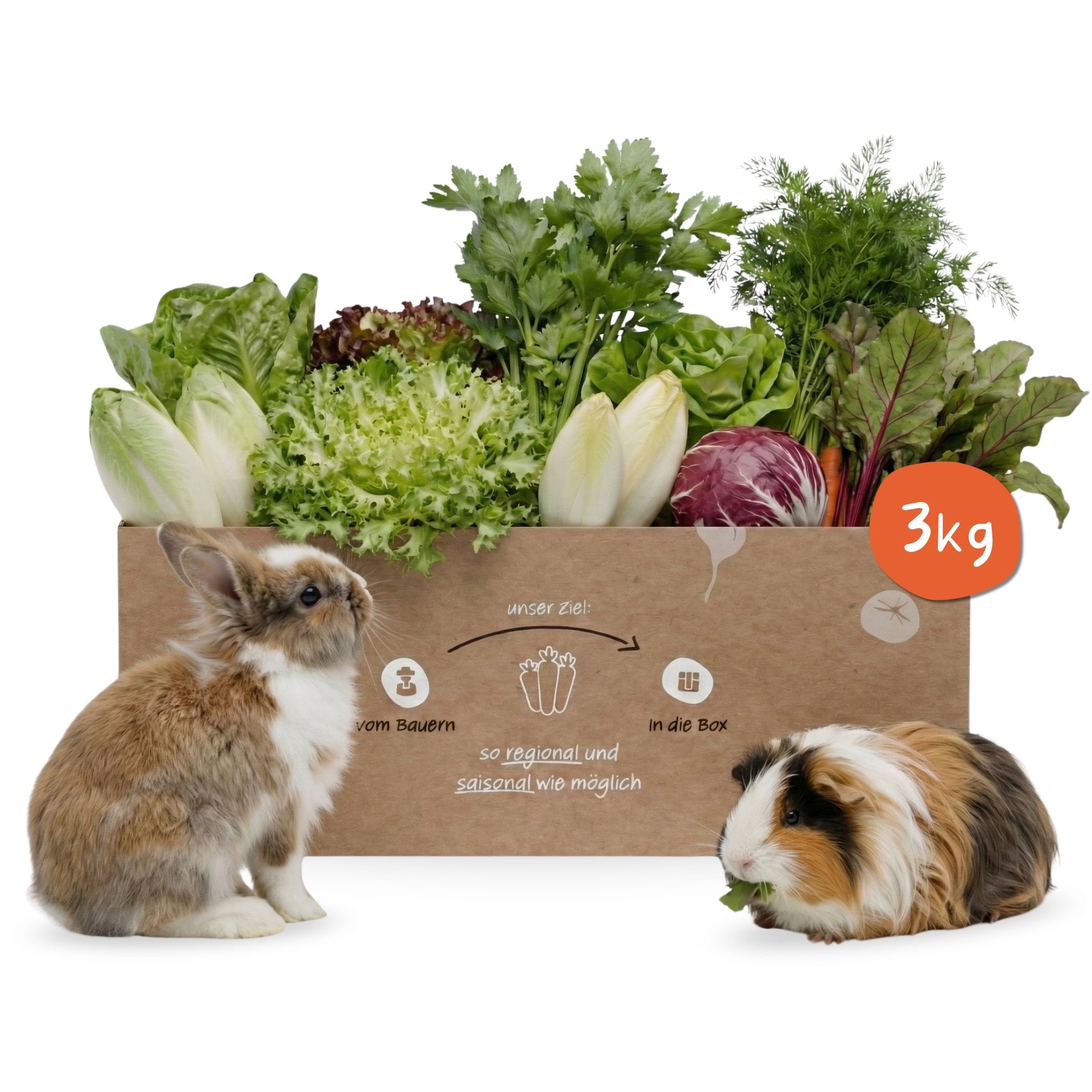 Gruenschmaus-Box gefüllt mit frischen Blattsalaten und Kopfsalat