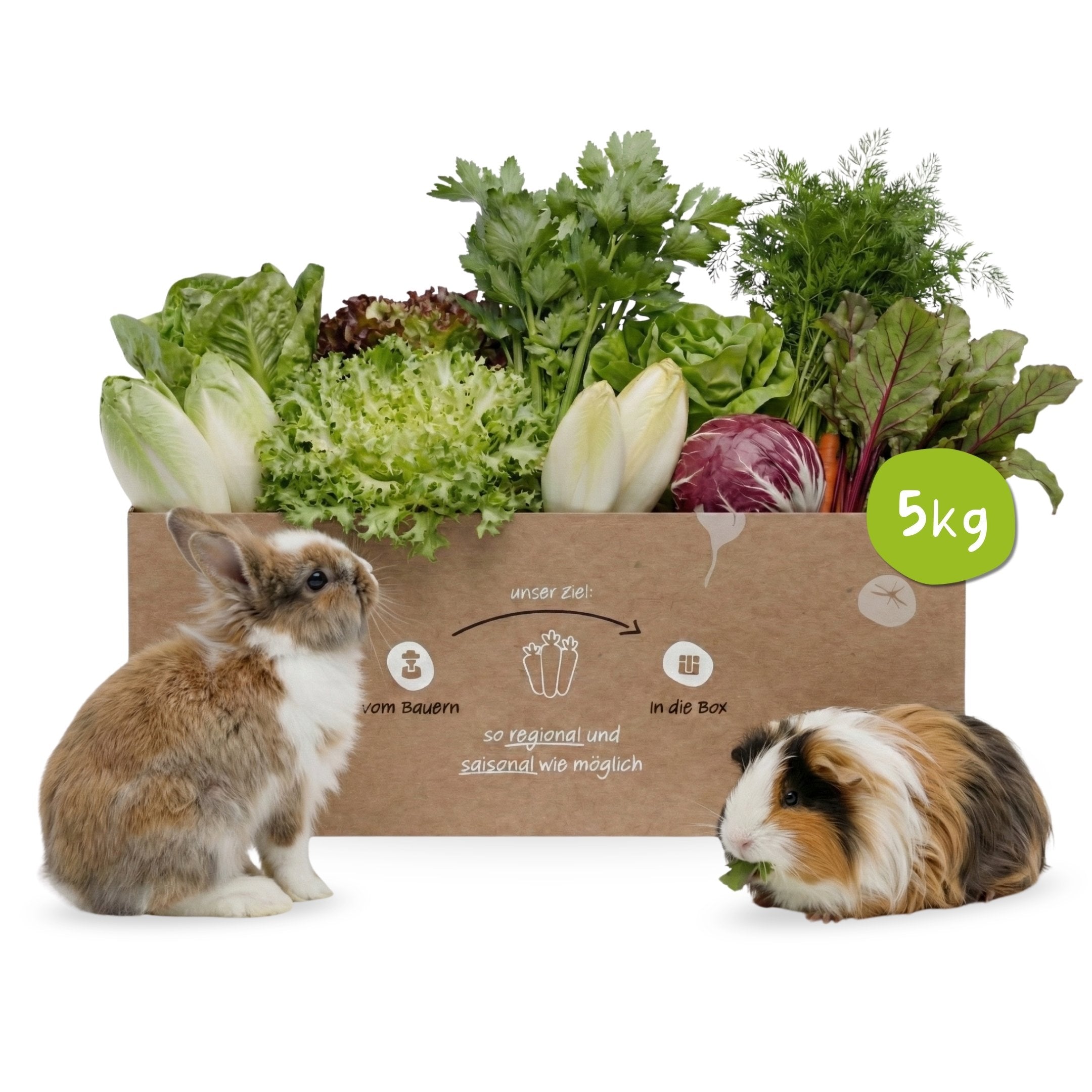 Frische Kleintierbox mit Salaten und frisee, Endivie und Eichblatt