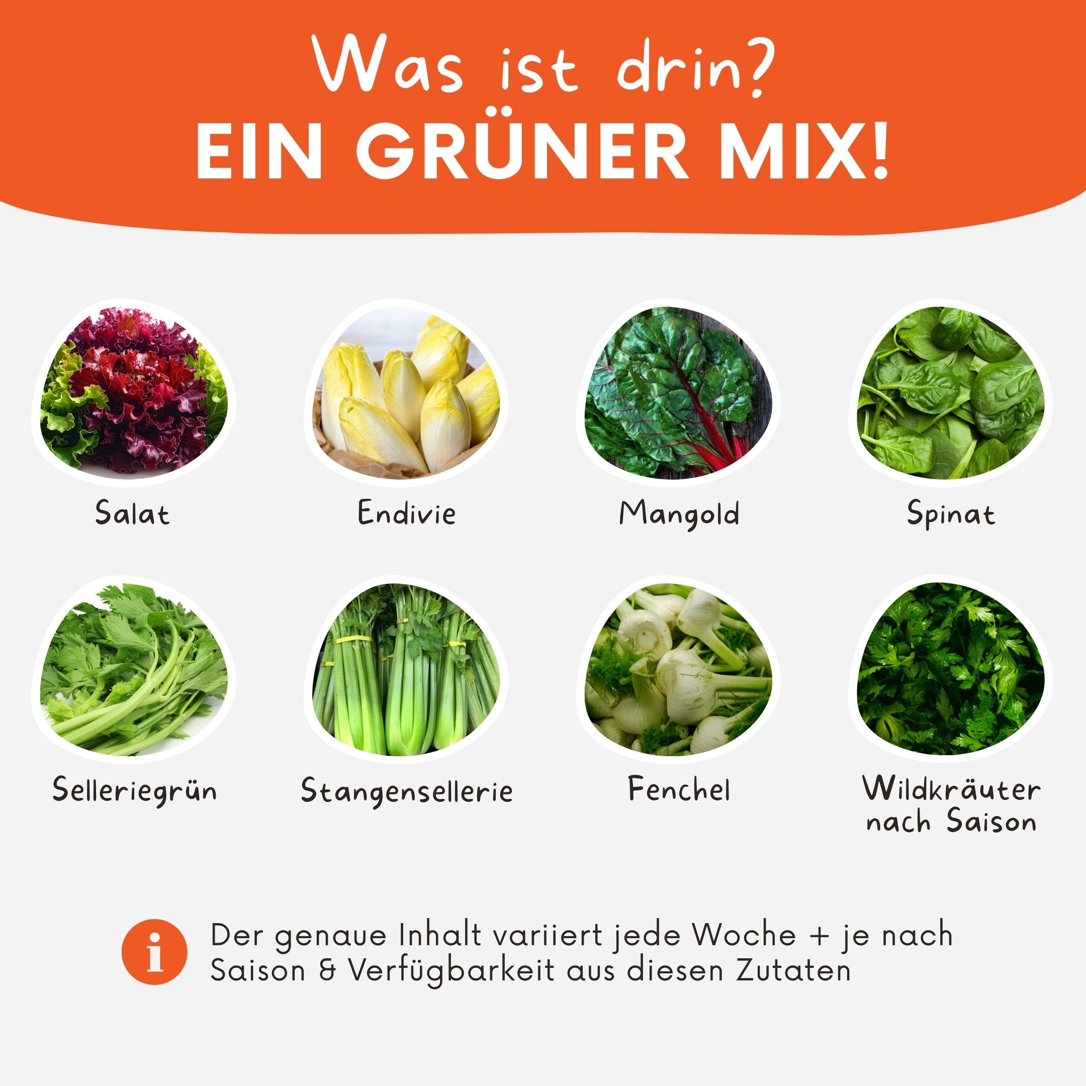Inhaltsliste für die Grünschmaus-Box gefüllt mit Radicchio und Fenchel