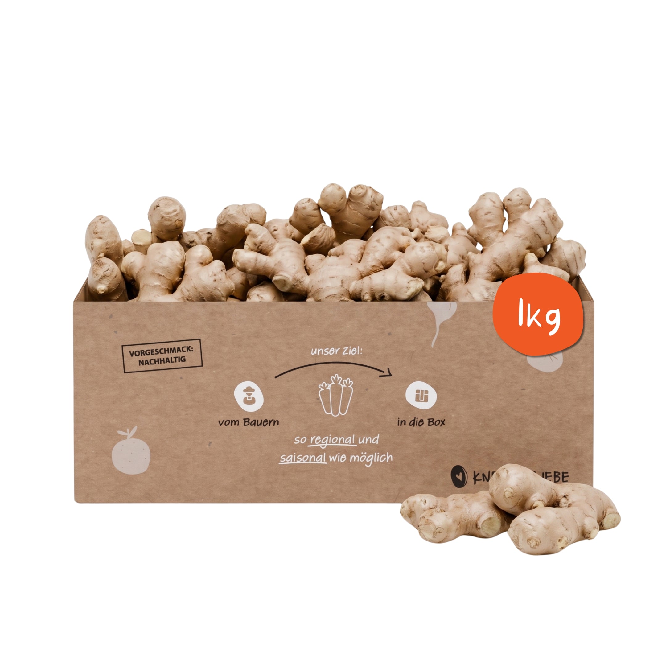 Knollenliebe Ingwer-Box mit mit einem Kilo frischem Ingwer