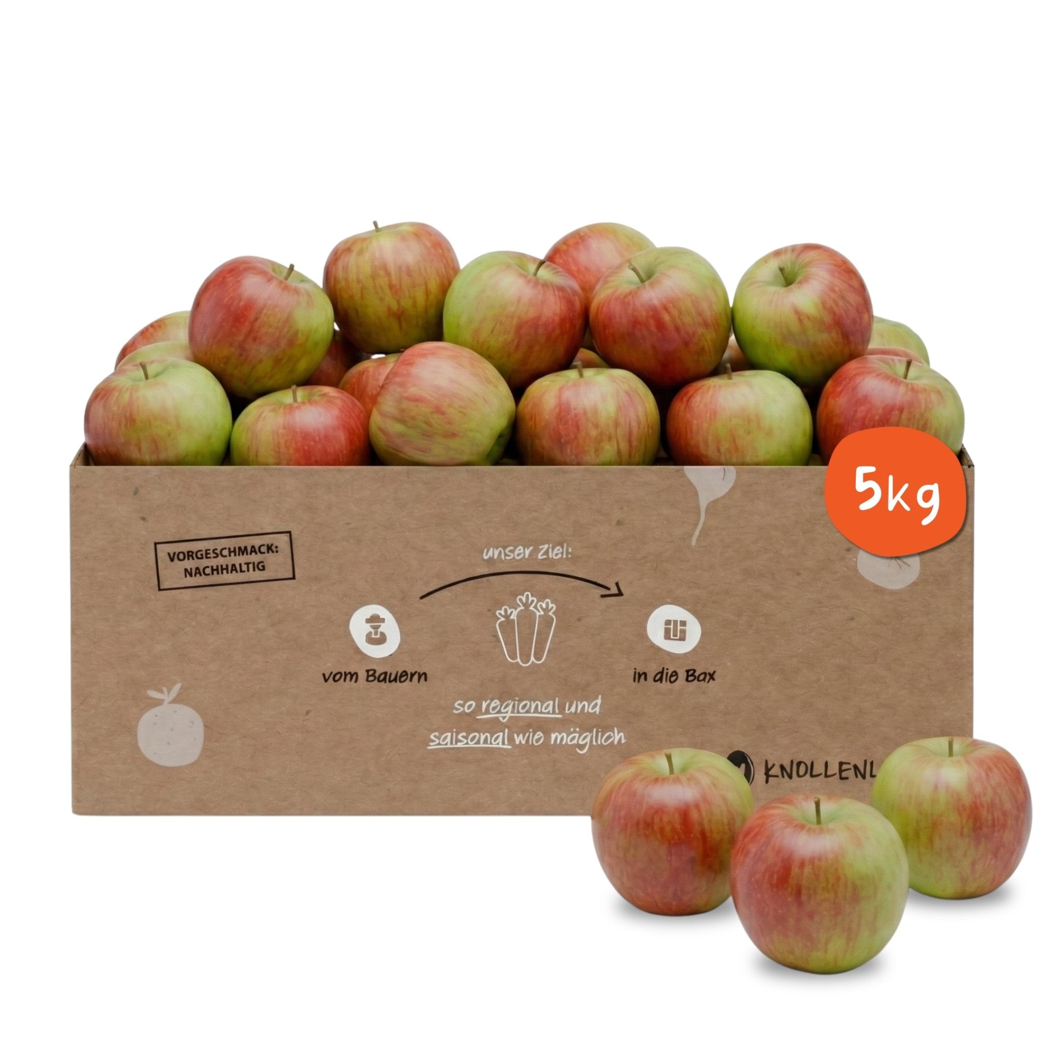 Knollenliebe Braeburn Apfel-Box mit 5 Kilo frischen, knackigen Äpfeln aus regionalem und saisonalem Anbau