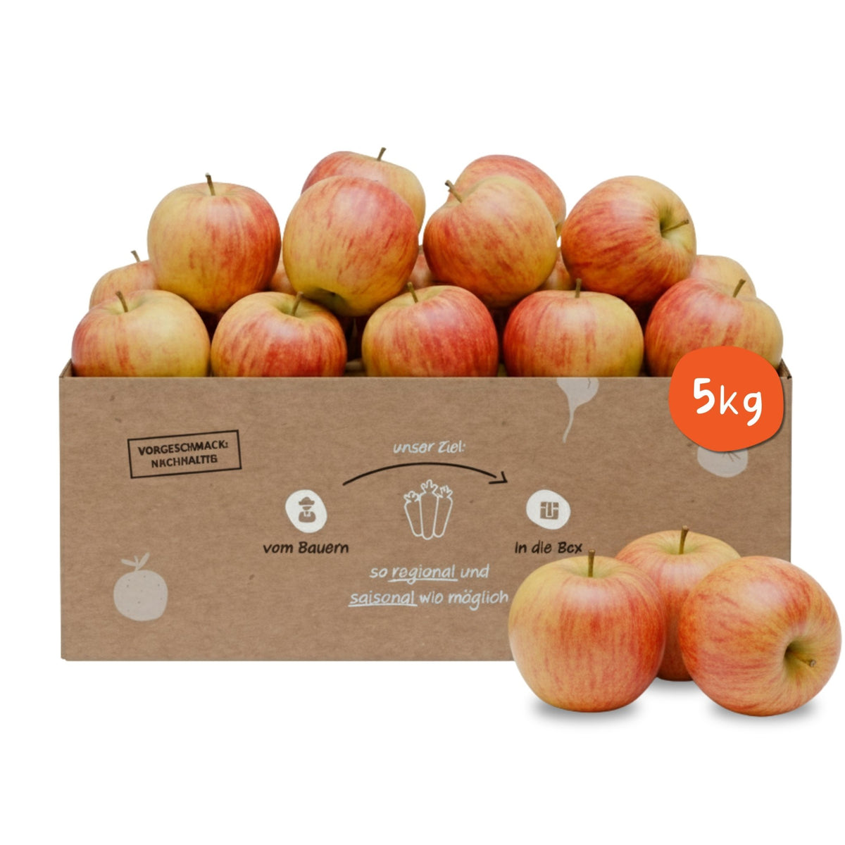 Knollenliebe Elstar Apfel-Box mit 5 Kilo frischen, knackigen Äpfeln aus regionalem und saisonalem Anbau