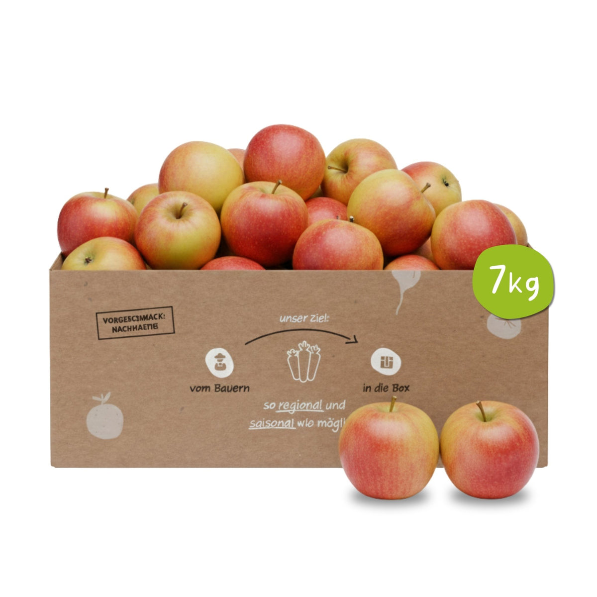 Knollenliebe Jonagold Apfel-Box mit 7 Kilo frischen, knackigen Äpfeln aus regionalem und saisonalem Anbau
