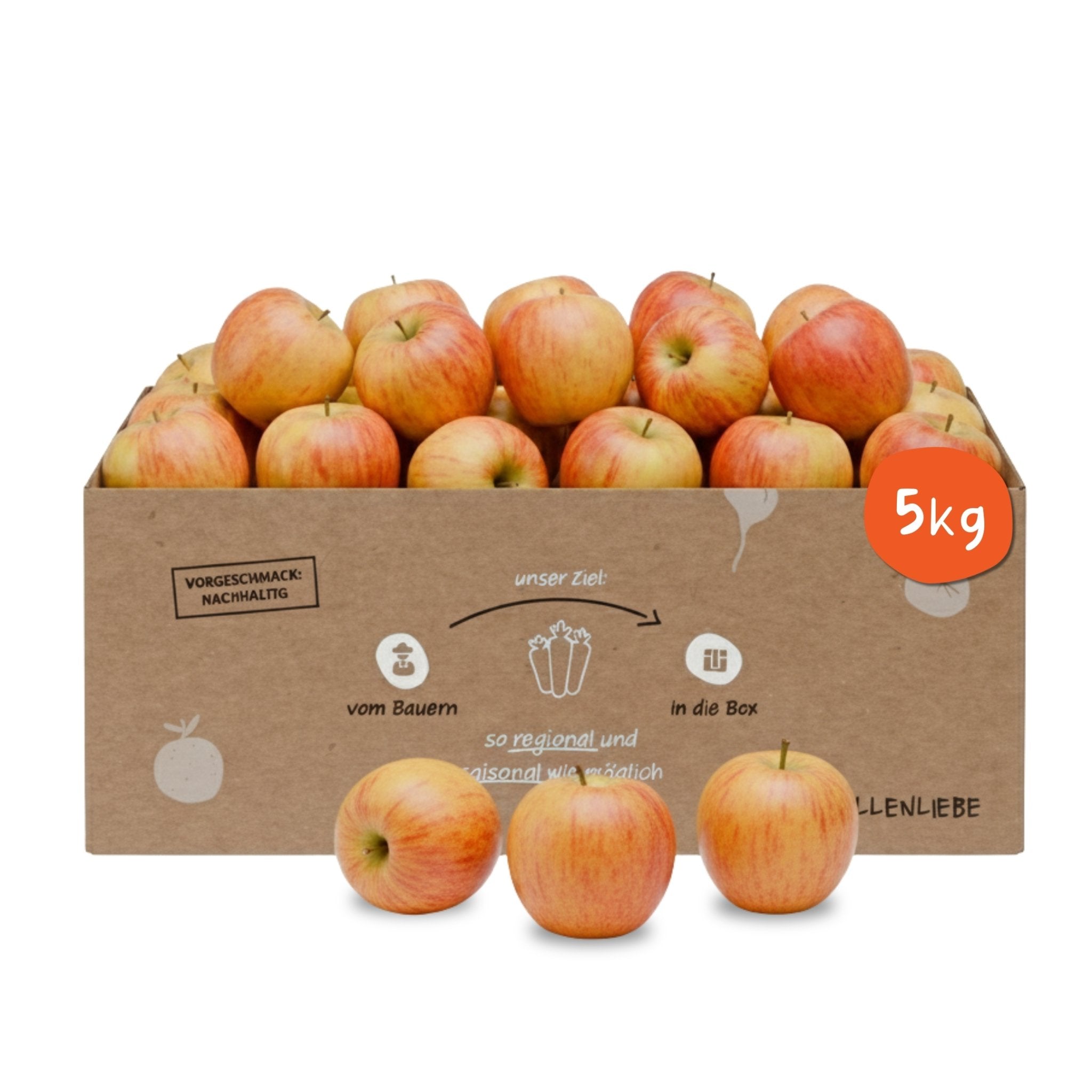 Knollenliebe Pinova Apfel-Box mit 5 Kilo frischen, knackigen Äpfeln aus regionalem und saisonalem Anbau