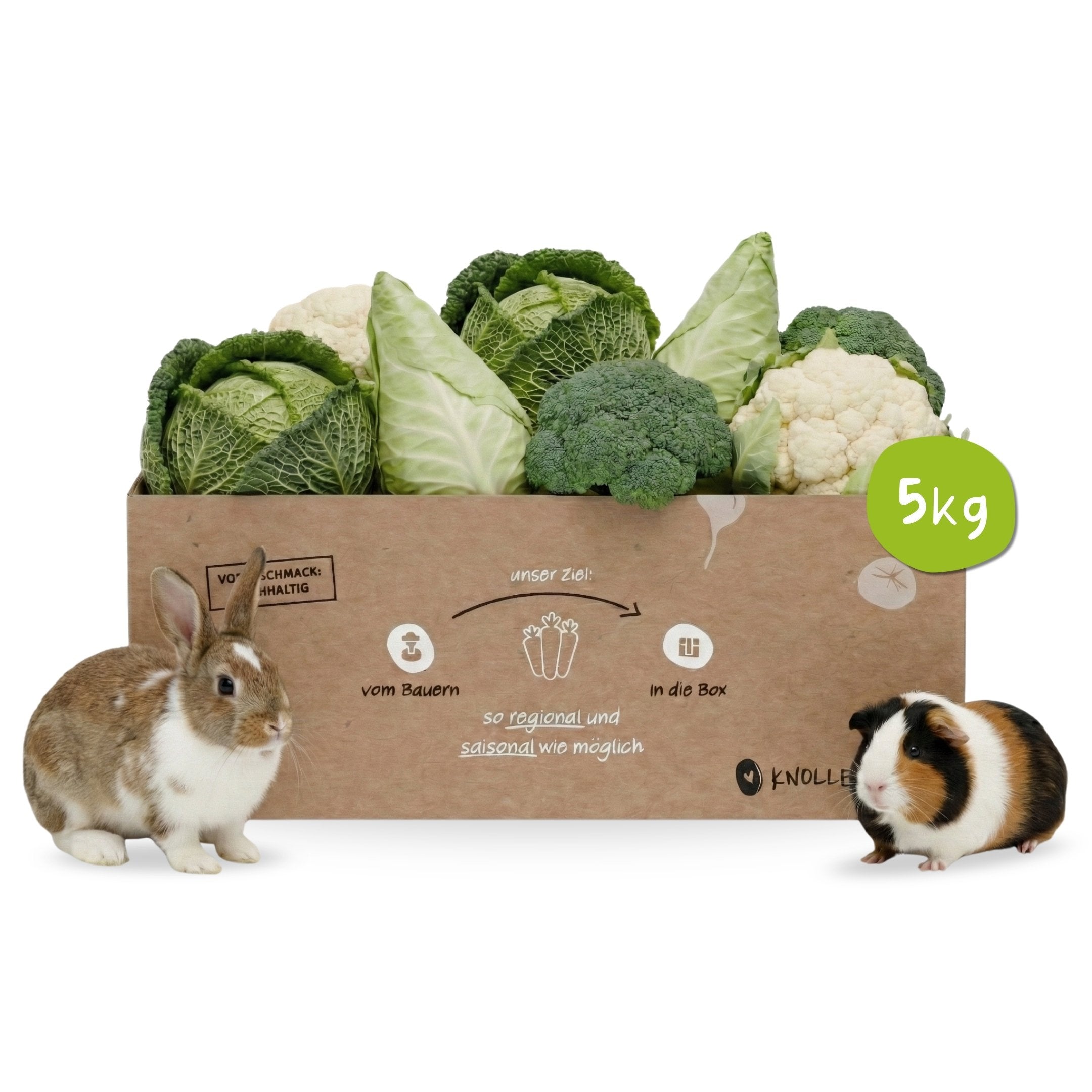Frische Kohl-Box mit Wirsing, Chinakohl und Spitzkohl ausgestattet