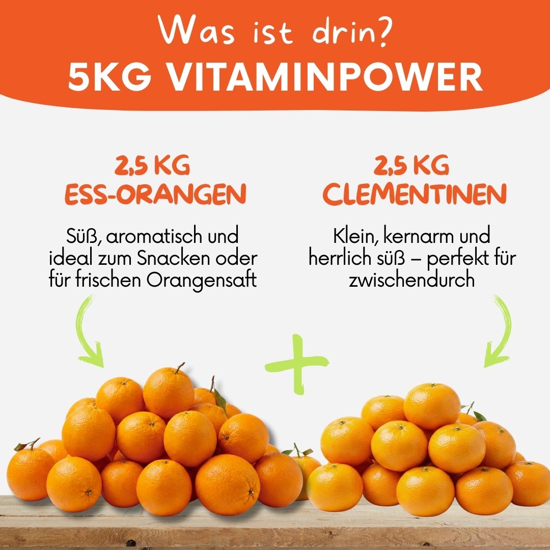 Orangen-Clementinen-Box