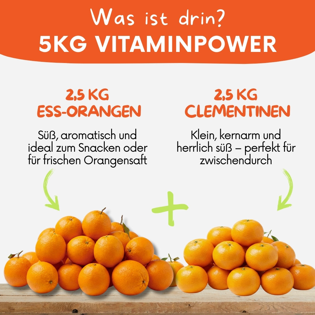 Orangen-Clementinen-Box