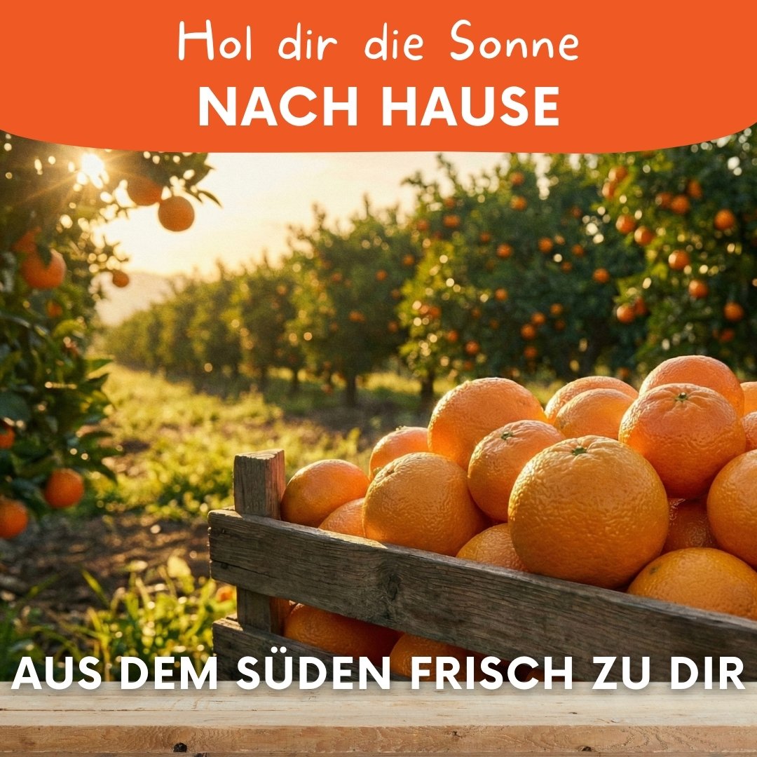 Moodbild der Orangen-Clementinen-Box von Knollenliebe