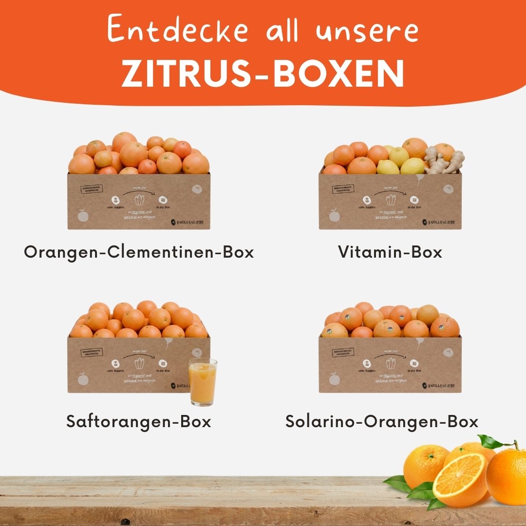 Vitamin-Box