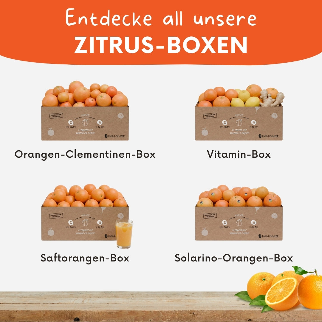 Vitamin-Box