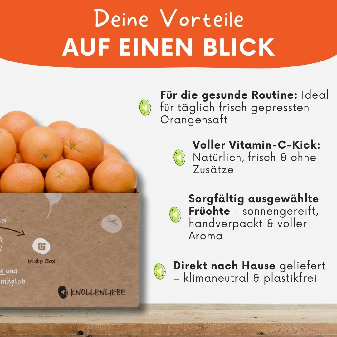 Saftorangen-Box – perfekt für frisch gepressten Orangensaft