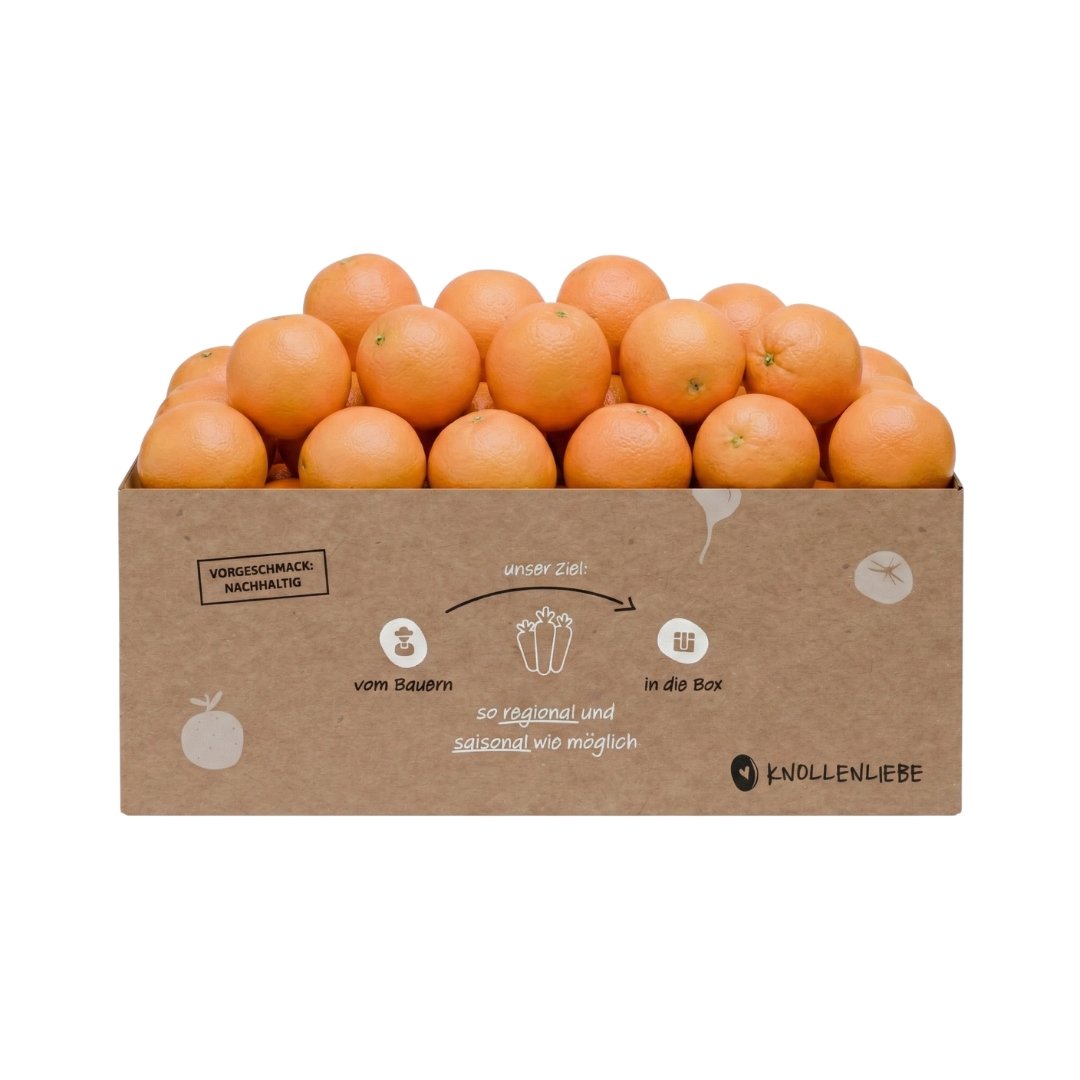 Saftorangen-Box – perfekt für frisch gepressten Orangensaft