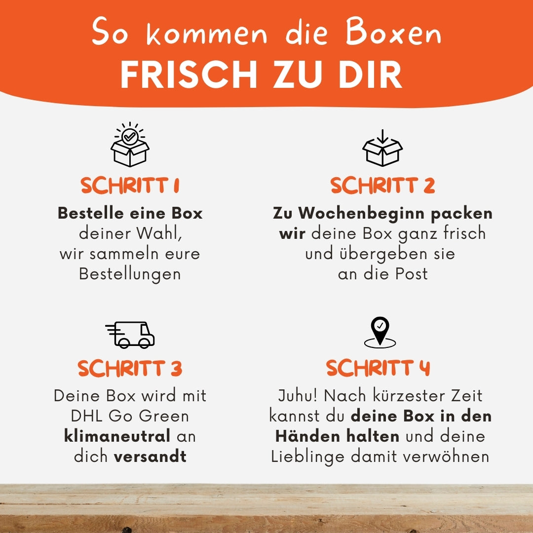 Grafische Schritt-für-Schritt-Anleitung zum Versandweg eines Pakets bis zum Kunden