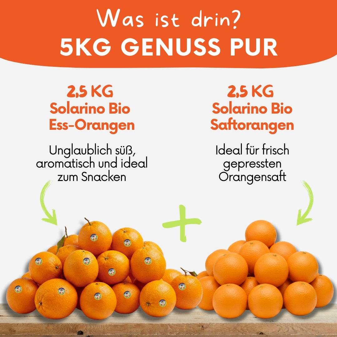 Solarino Orangenbox – Bio-Orangen aus Südsizilien