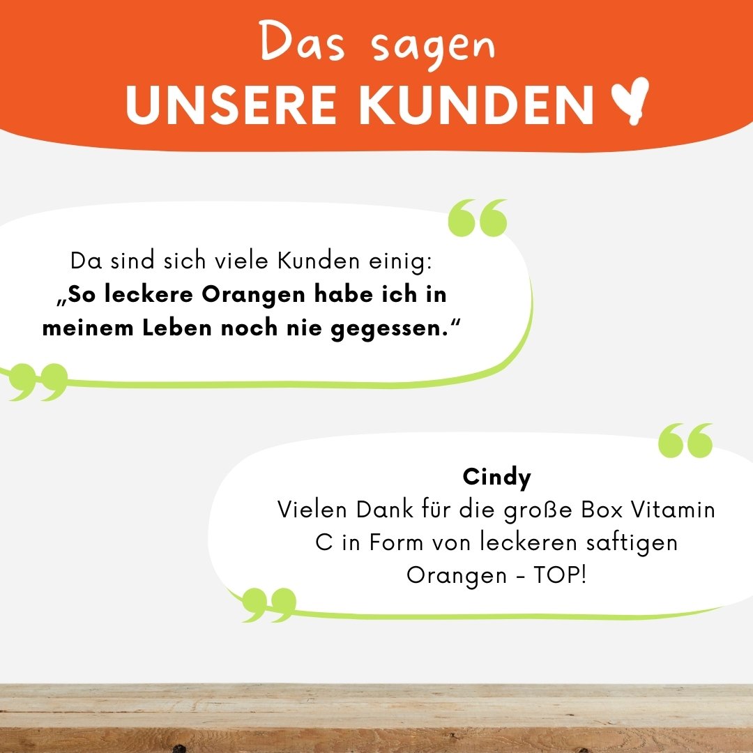 Solarino Orangenbox – Bio-Orangen aus Südsizilien