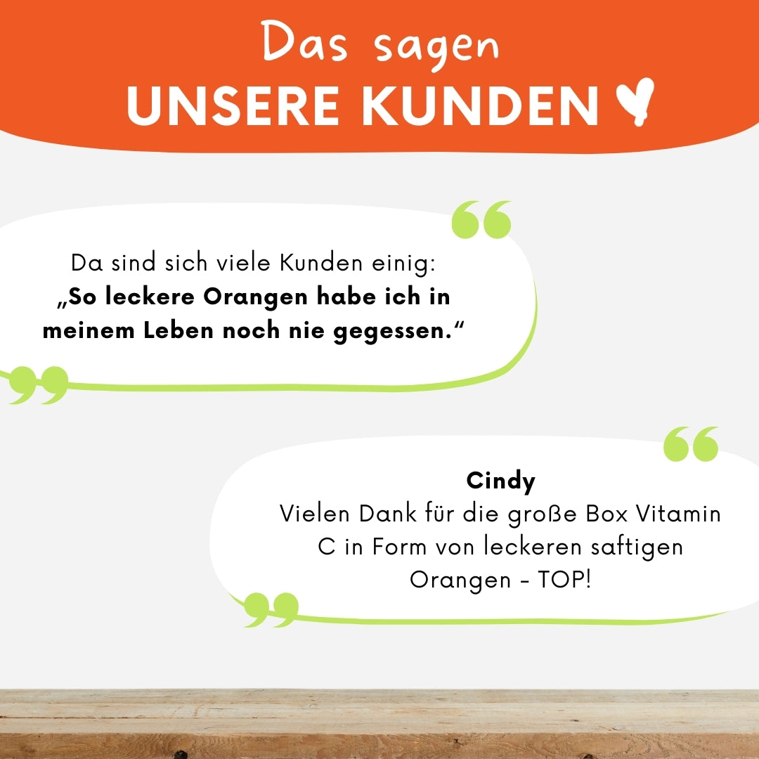 Solarino Orangenbox – Bio-Orangen aus Südsizilien