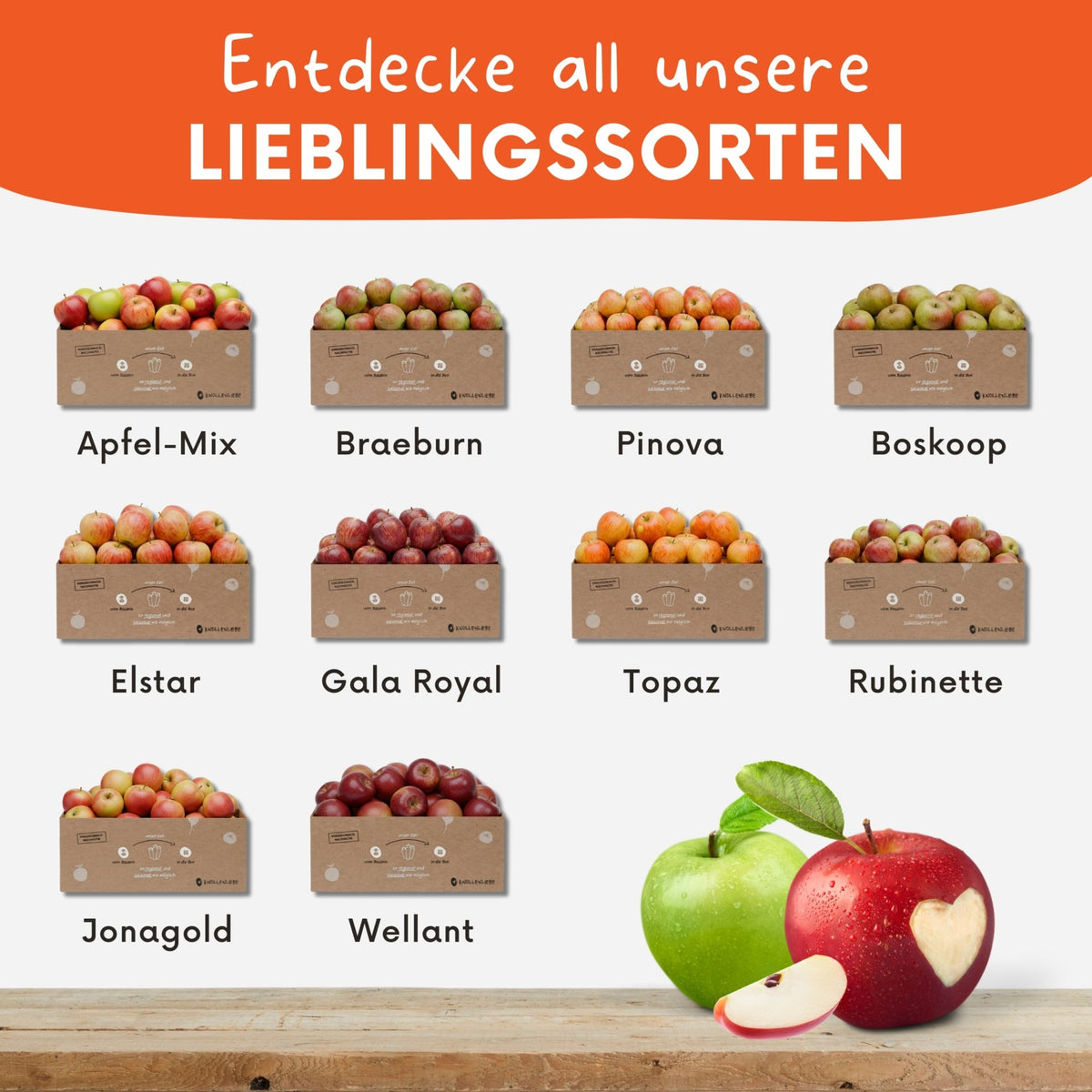 Produktübersicht der frischen und regionalen Apfel-Boxen von Knollenliebe