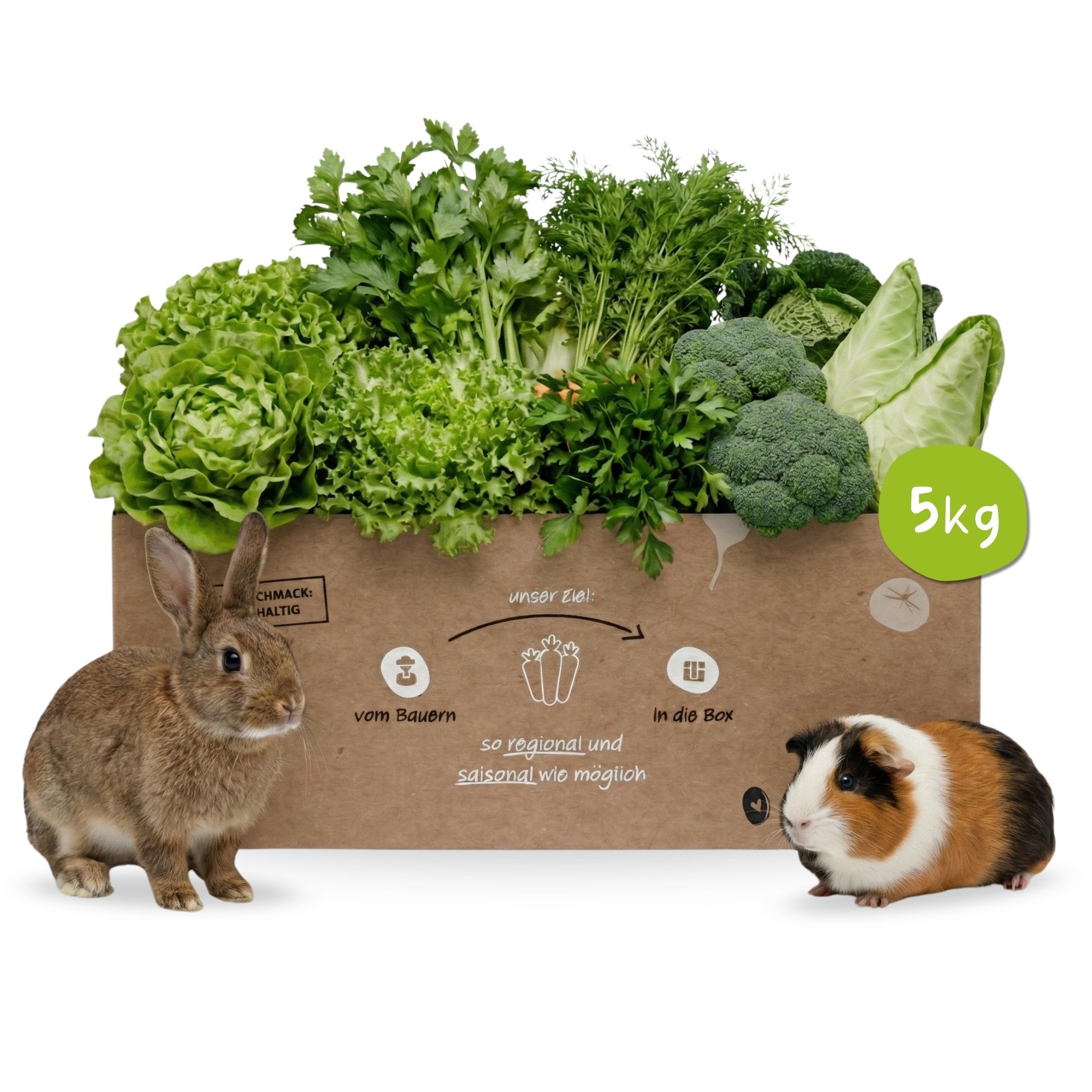 Tolle Kleintierbox von Knollenliebe