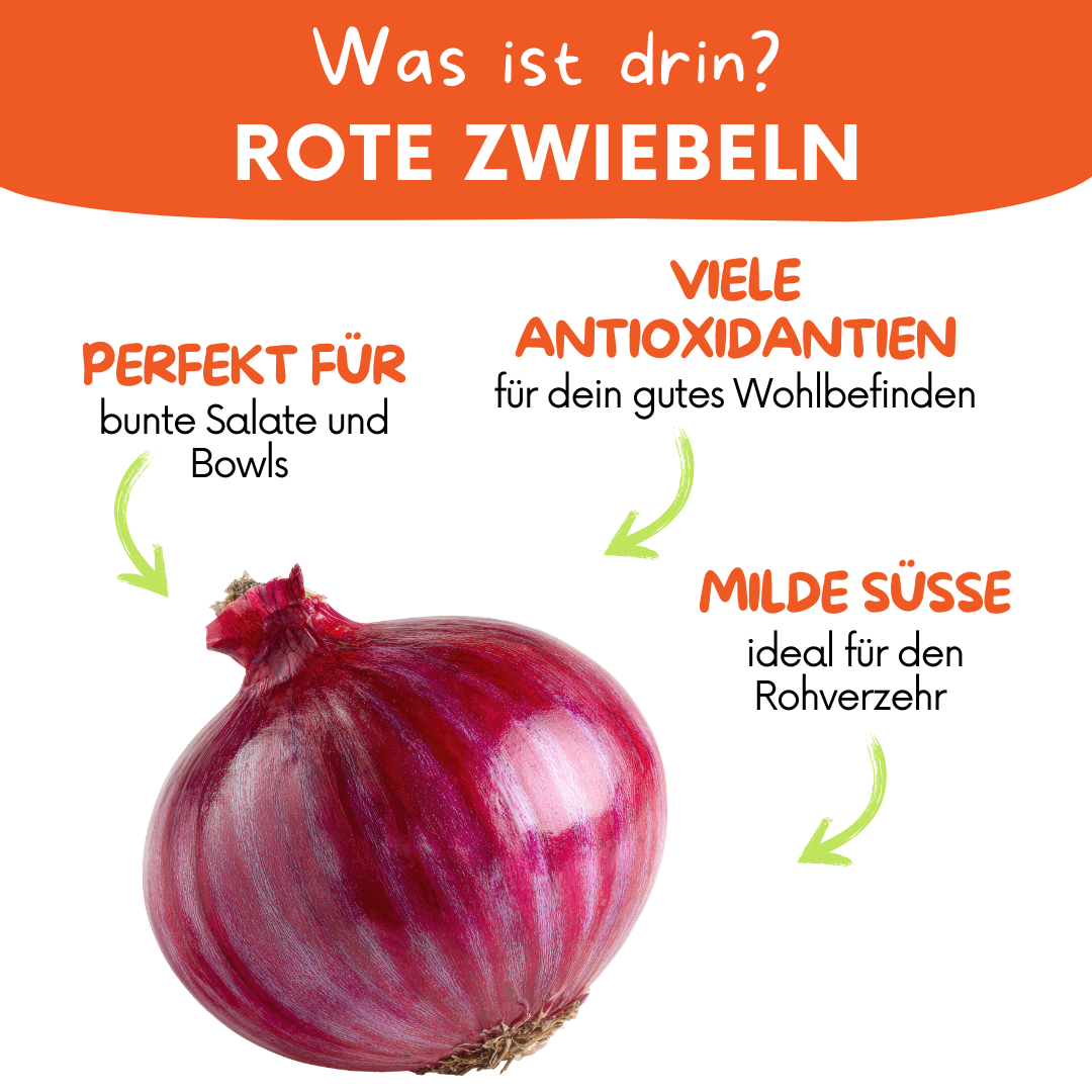 Rote Zwiebeln – aromatisch, vielseitig & ideal für den Vorrat