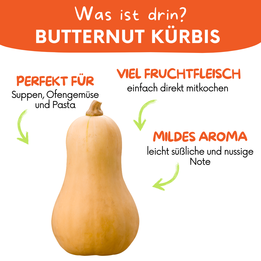 Hokkaido & Butternut Kürbis – frischen Kürbis online kaufen