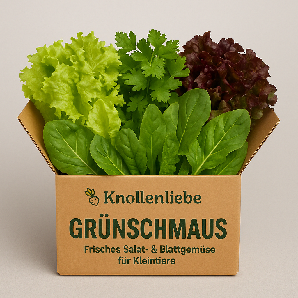 Grünschmaus – Frisches Salat- & Blattgemüse für Kleintiere