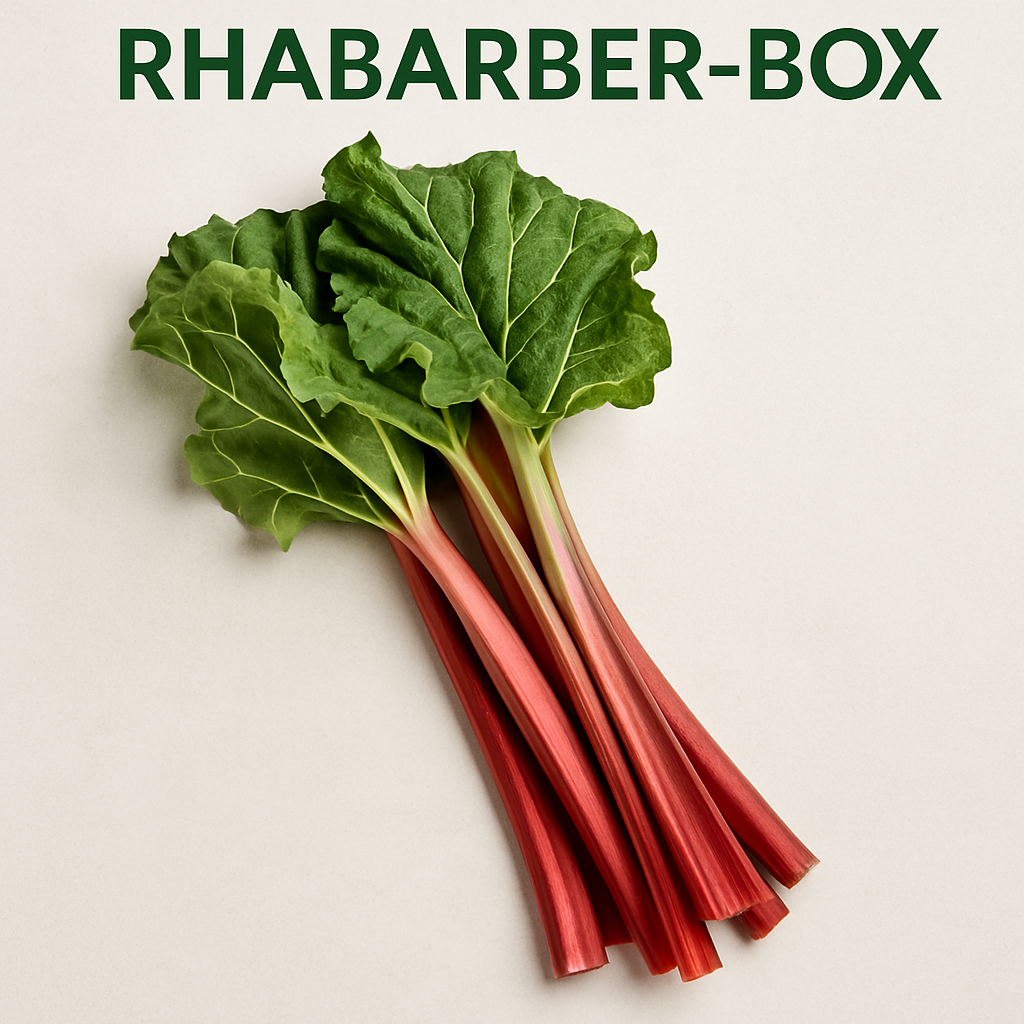 Rhababer-Box