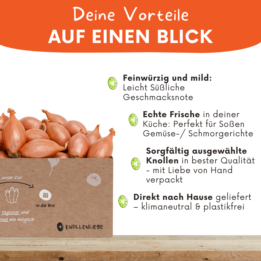 E-Schalotten – mild, aromatisch & vielseitig
