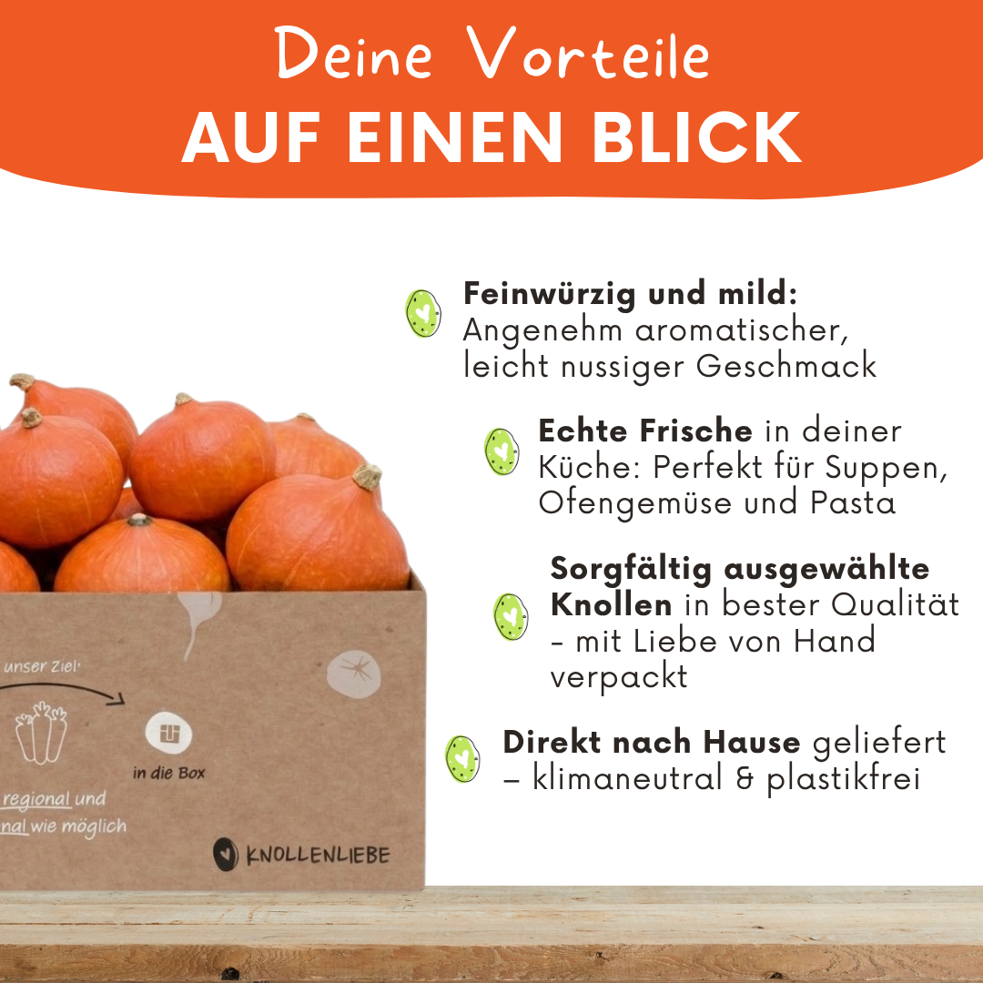 Hokkaido & Butternut Kürbis – frischen Kürbis online kaufen