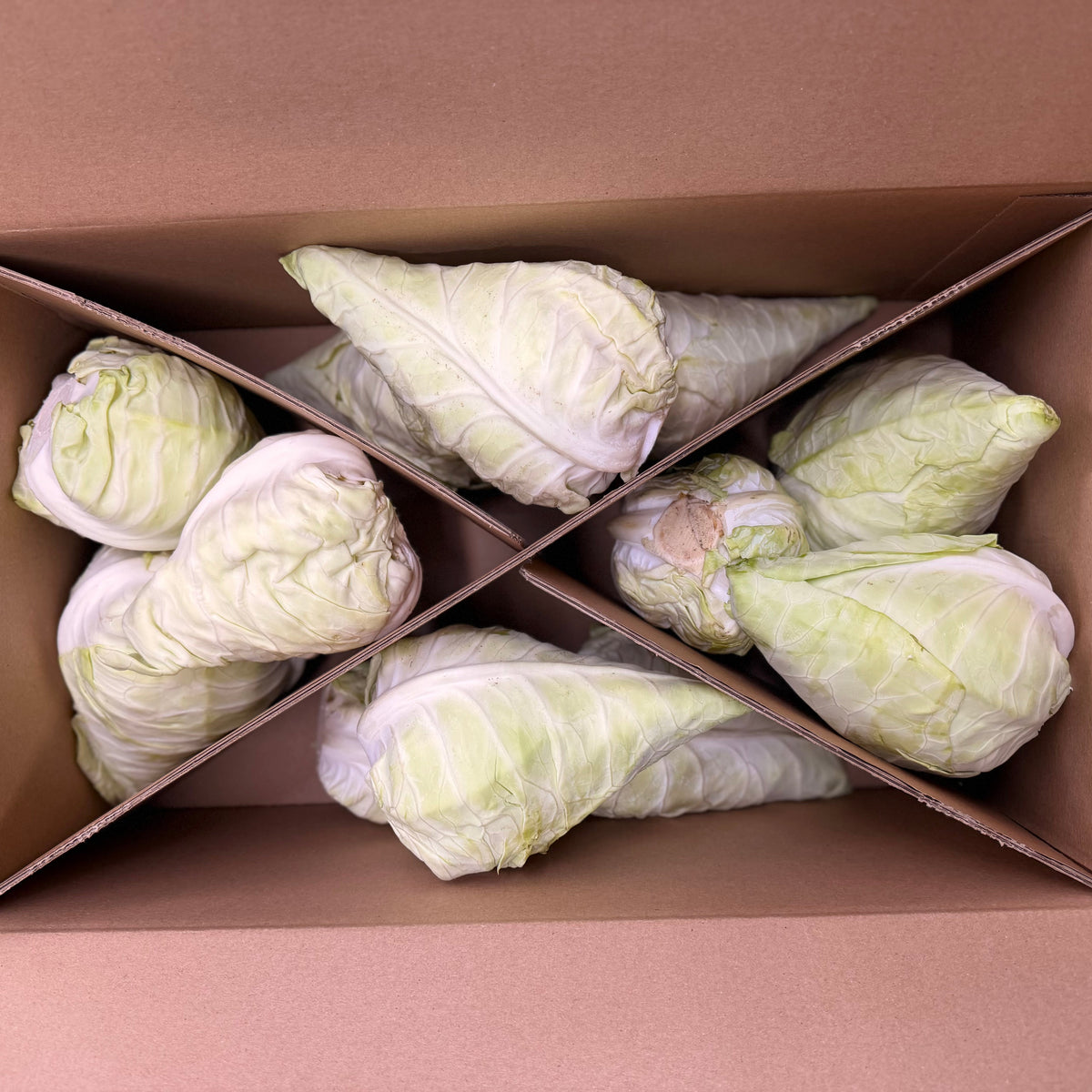 Mini-Spitzkohl-Retterbox – Frischer Spitzkohl aus der Pfalz