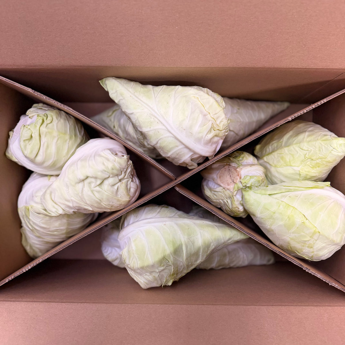 Mini-Spitzkohl-Retterbox – Frischer Spitzkohl aus der Pfalz