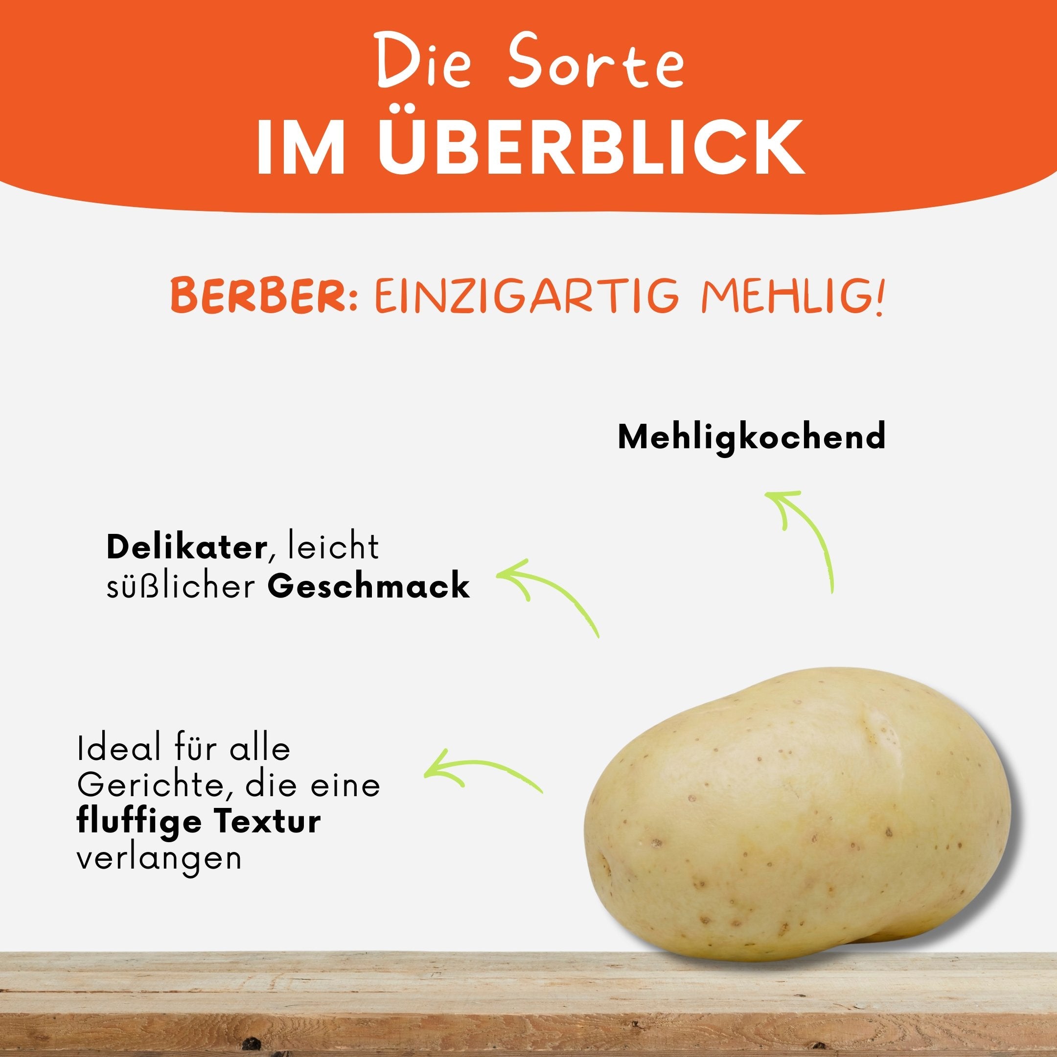 Leckere mehlig kochende Kartoffel Berber