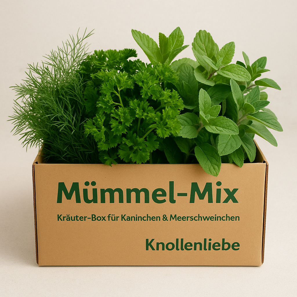Leckere Kräuter Box für fellhasen und kleintiere mit frischen kräutern
