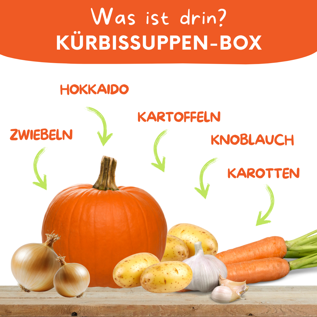 Kürbissuppen-Box – Frische Zutaten für deine Kürbissuppe