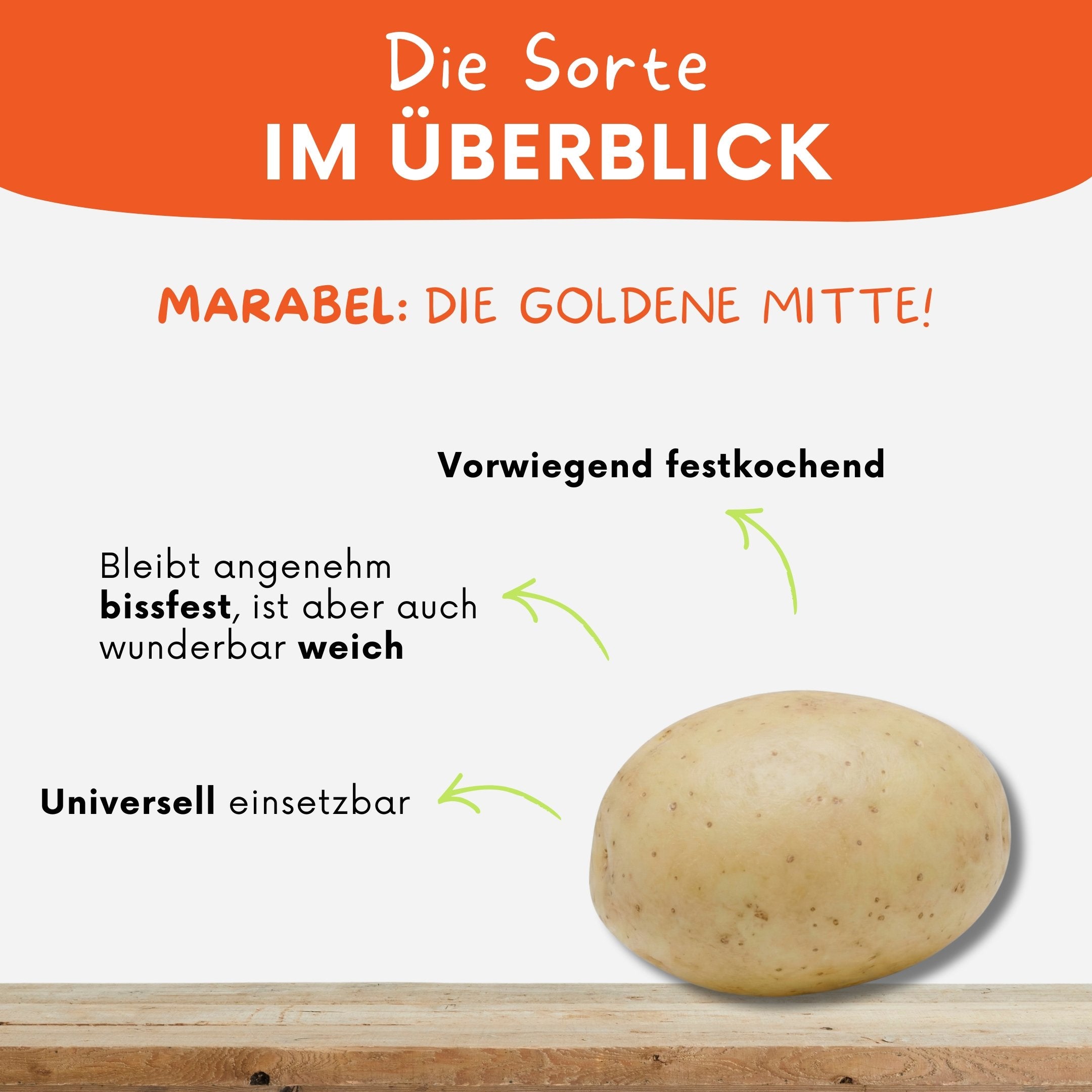 Goldgelbe Schale der vorwiegend festkochenden Marabel Kartoffel