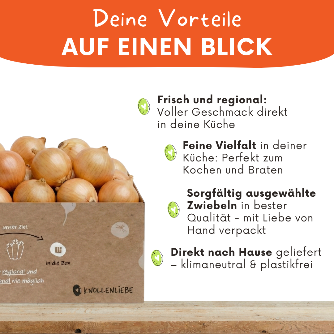 Pfälzer Zwiebeln – regional, aromatisch & ideal für den Vorrat