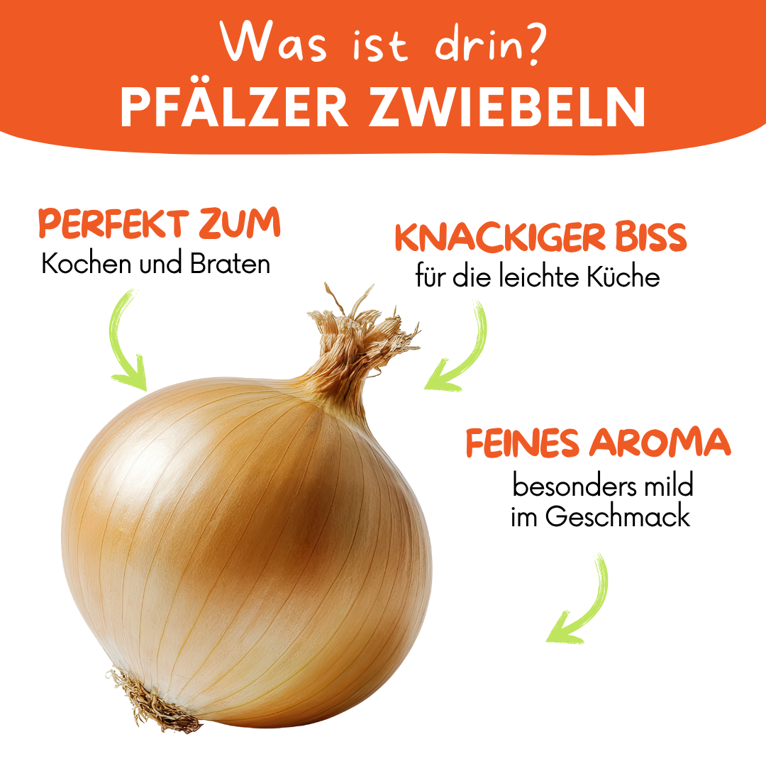 Pfälzer Zwiebeln – regional, aromatisch & ideal für den Vorrat