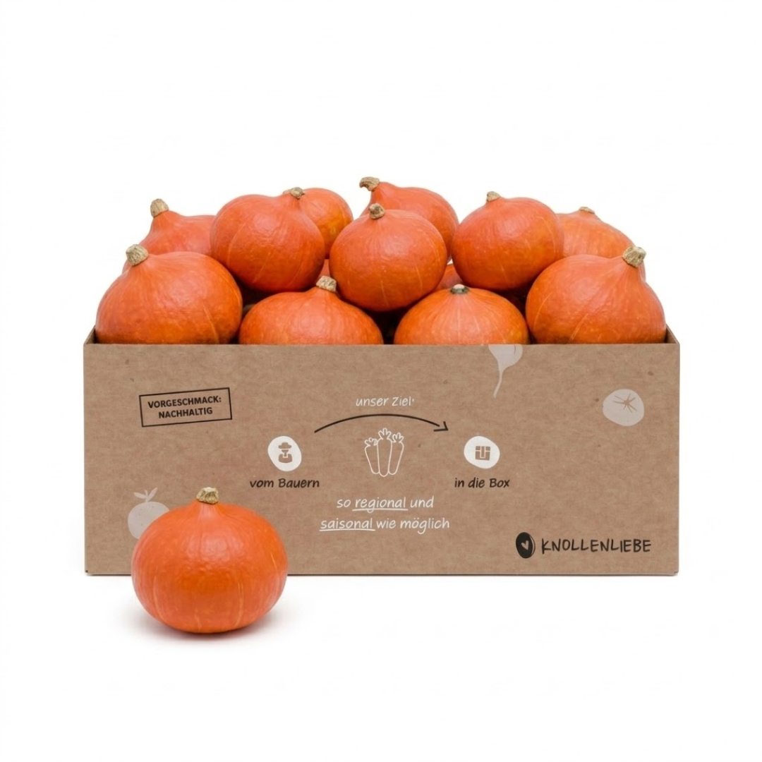 Hokkaido & Butternut Kürbis – frischen Kürbis online kaufen