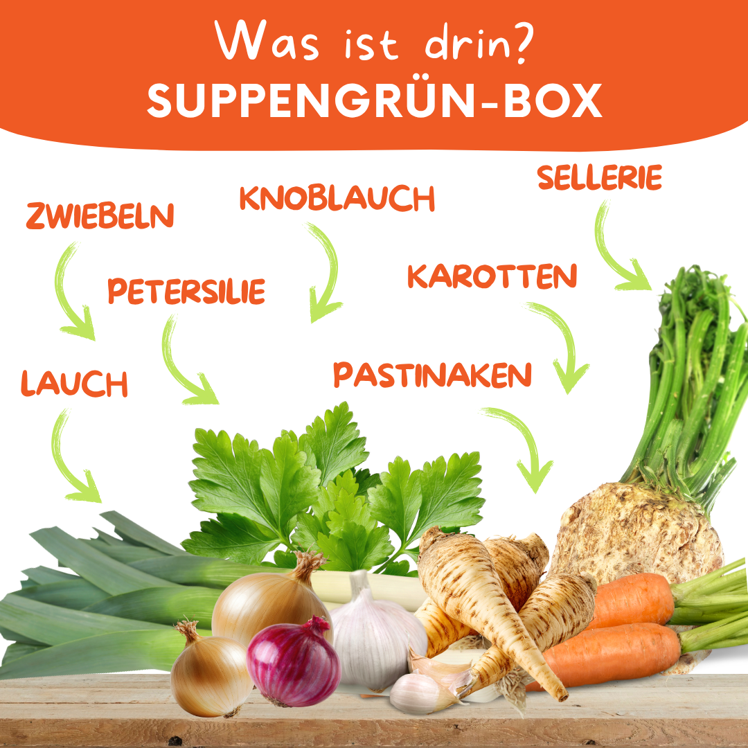 Suppengrün-Box – frisches Suppengemüse kaufen